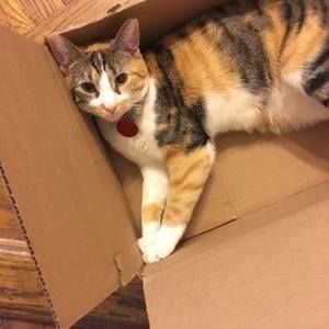 Meet your Posher, Jeanette